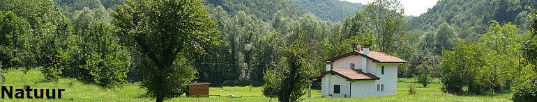 Natuur