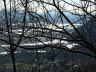 Tagliamento - winter