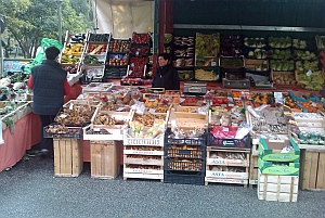 marktpaddestoelen-kl